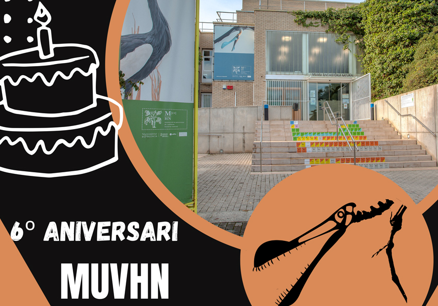 Hui, dijous 15 de febrer, el Museu de la Universitat de València d'Història Natural (MUVHN) celebrarà el seu 6é aniversari